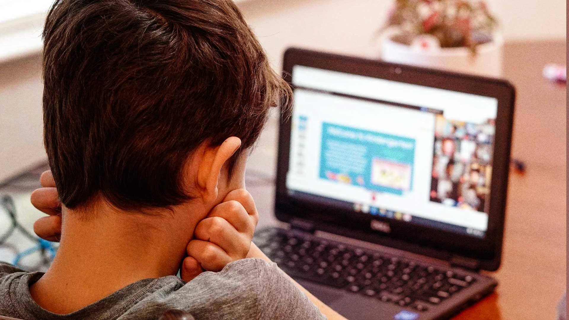 Boy looking at computer