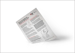 A mock-up of a guide