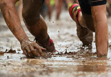 Obstacle Course Race 